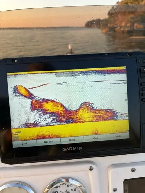 Sonar screen showing a school of fish under the boat on Lake Bridgeport